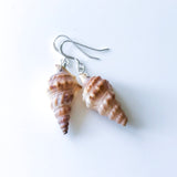 Konkylie skjell fra sæby strand. Øredobber i sølv.